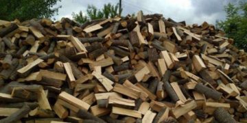 Тернопільські лісгоспи відмовляються надавати дрова родинам загиблих воїнів