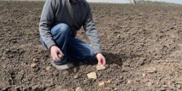 В Чортківському районі археологи знайшли трипільський артефакт, якому майже 5 тисяч років