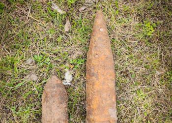 У селі на Тернопільщині знайшли відразу 11 боєприпасів часів минулих воєн