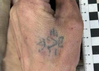 Біля одного з сіл Підгаєцької громади виявили тіло мертвого чоловіка