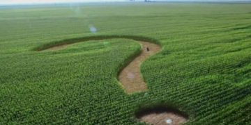 Прокуратура Тернопільщини хоче повернути землю на якій мали збудувати сміттєпереробний комплекс