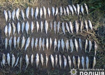 На Дністрі в Тернопільській області затримали 26-річного браконьєра