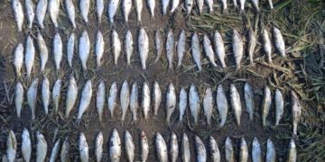 На Дністрі в Тернопільській області затримали 26-річного браконьєра