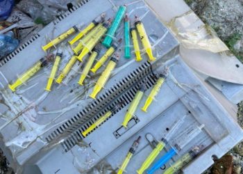 Чоловікові з Бережанської громади загрожує 10 років ув’язнення за вирощування та продаж наркотиків