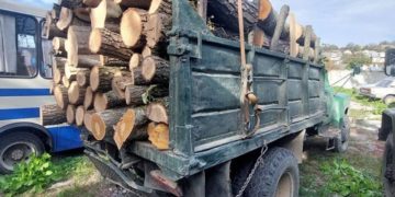 В Кременецькому лісгоспі виявили незаконну вирубку лісу