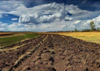 Суд Тернопільщини конфіскував 4 земельні ділянки у громадян росії