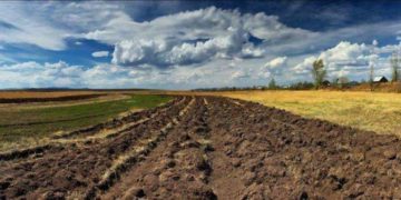 Суд Тернопільщини конфіскував 4 земельні ділянки у громадян росії
