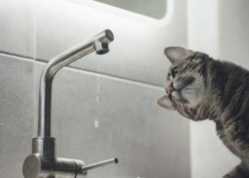 У середу в одному з мікрорайонів Тернополя цілий день буде відсутнє водопостачання