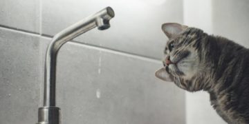 У середу в одному з мікрорайонів Тернополя цілий день буде відсутнє водопостачання