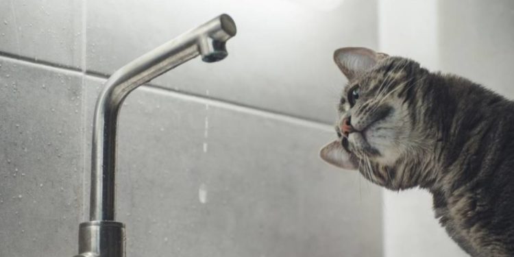 У середу в одному з мікрорайонів Тернополя цілий день буде відсутнє водопостачання