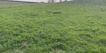 Прокуратура Тернопільщини хоче повернути державі землю вартістю понад півтора мільярда гривень