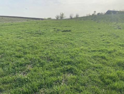 Прокуратура Тернопільщини хоче повернути державі землю вартістю понад півтора мільярда гривень