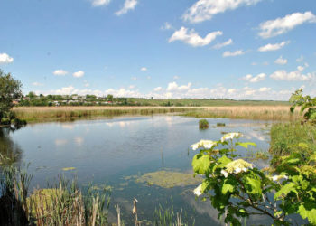 В одній з громад Тернопільщини чоловік самовільно викопав ставок на землях природно-заповідного фонду