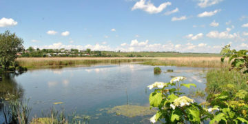 В одній з громад Тернопільщини чоловік самовільно викопав ставок на землях природно-заповідного фонду