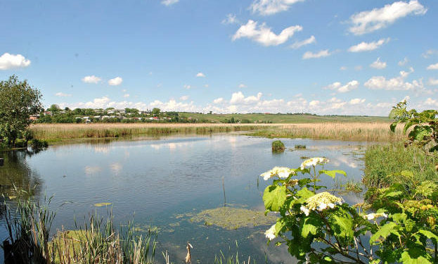 В одній з громад Тернопільщини чоловік самовільно викопав ставок на землях природно-заповідного фонду