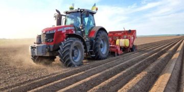 У агробізнесі МХП з'явився новий напрям – овочівництво