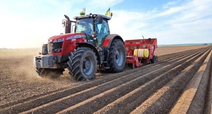 У агробізнесі МХП з'явився новий напрям – овочівництво