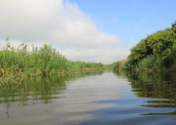 Комунальне підприємство Кременецької міськради забруднювало річку Іква