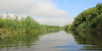 Комунальне підприємство Кременецької міськради забруднювало річку Іква