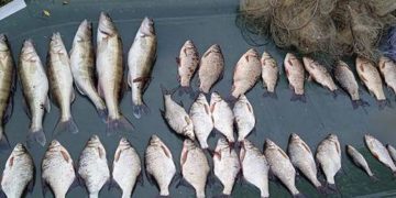 Жителя Заліщицької громади затримали на браконьєрстві: чоловік завдав збитків державі на 70 тисяч гривень