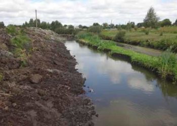 У Колиндянській громаді 81-річна жінка втопилася в меліораційному каналі