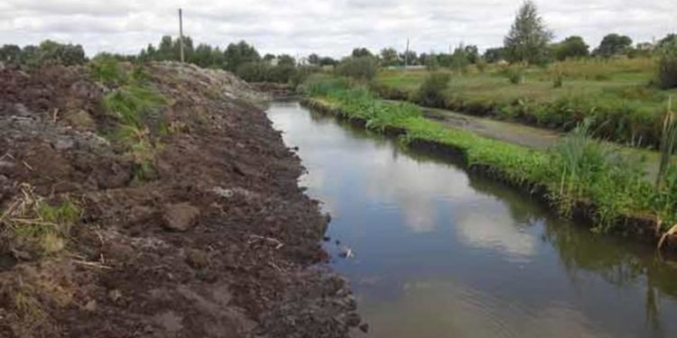 У Колиндянській громаді 81-річна жінка втопилася в меліораційному каналі
