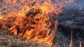 пожежа сухої трави