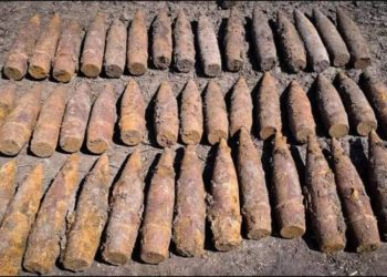 У Зборівській громів посеред поля виявили майже пів сотні артилерійських снарядів