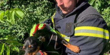 Рятувальники спасли собаку на Тернопільщині