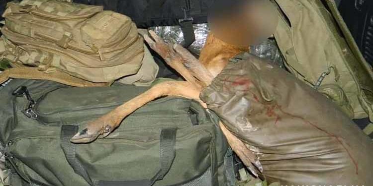 браконьєрство на Тернопільщині