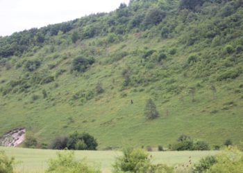 На Тернопільщині створять новий природний парк