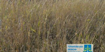 державі повернули землю на Кременеччині