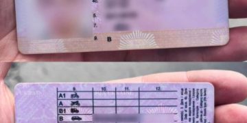 у Тернополі виявили водія з підробленими документами