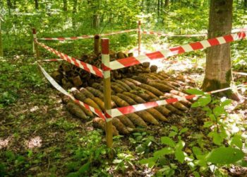 ДСНС знешкодили боєприпаси