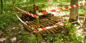 ДСНС знешкодили боєприпаси