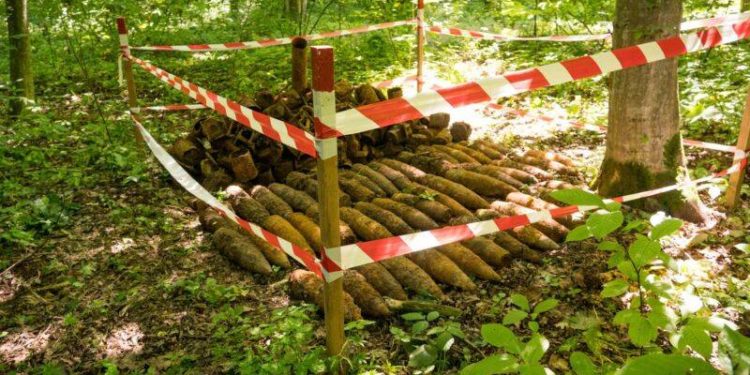 ДСНС знешкодили боєприпаси