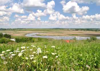 Суд остаточно забрав у Тернопільської міськради 10 га земель заказника “Серетський” вартістю 300 млн грн