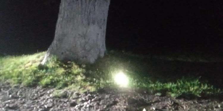 Аварія на Тернопільщині