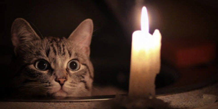 Графік вимкнення електроенергії