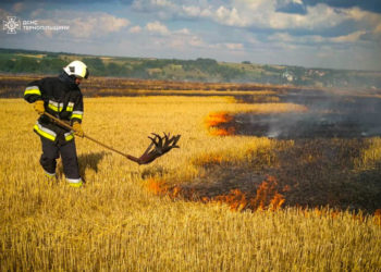 пожежа трави на Тернопільщині