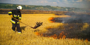 пожежа трави на Тернопільщині