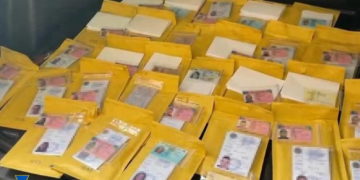 знешкодження агентурної групи ФСБ