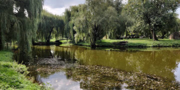 парк Топільче