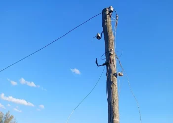 струм вбив чоловіка на Тернопільщині