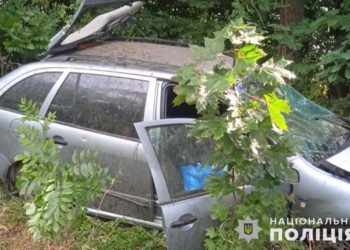 ДТП на Тернопільщині