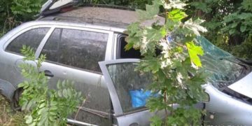 ДТП на Тернопільщині