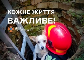 рятувальники спасли собаку