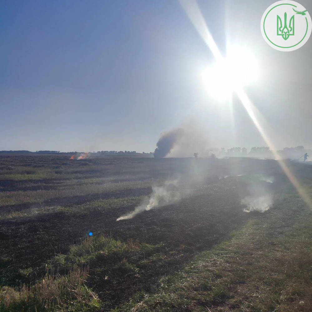 спалення сухої трави на Тернопільщині