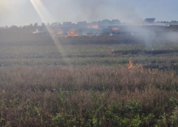 спалення сухої трави на Тернопільщині