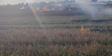 спалення сухої трави на Тернопільщині
